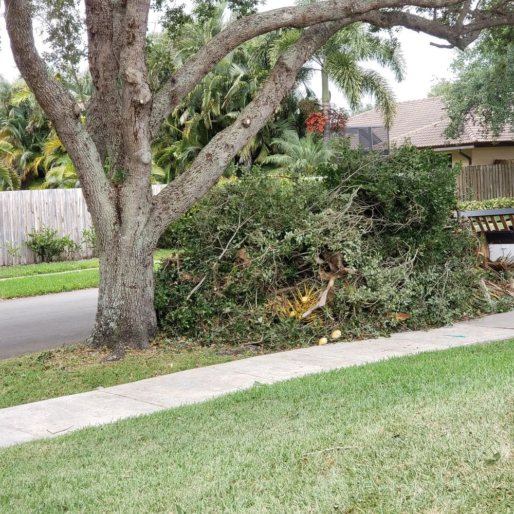 Professional garden landscaping for homes in Plantation, FL by Lawn & Trees by Irv