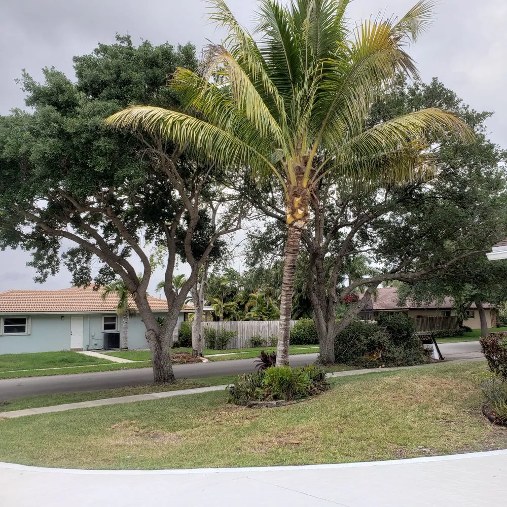 Reliable landscape design in Plantation, FL - Lawn & Trees by Irv