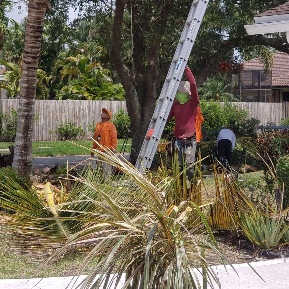 Professional yard cleanup service experts serving Plantation, FL - Lawn & Trees by Irv