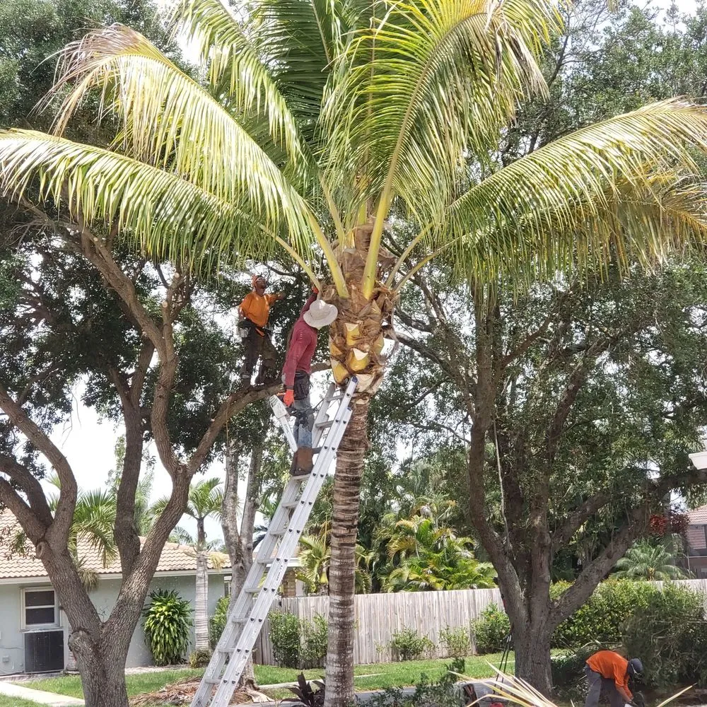 Top-rated residential landscaping for homes across Plantation, FL - Lawn & Trees by Irv