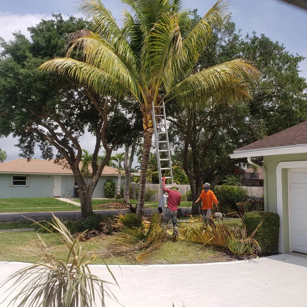 Professional garden landscaping for homes across Plantation, FL - Lawn & Trees by Irv