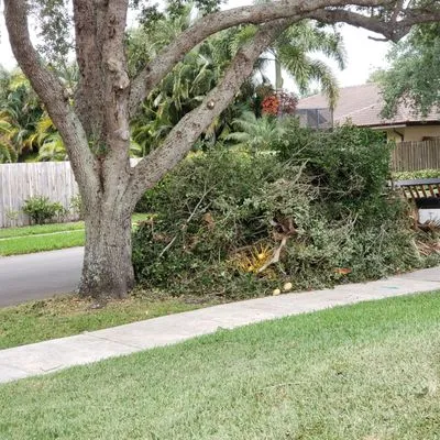 Lawn & Trees by Irv Logo