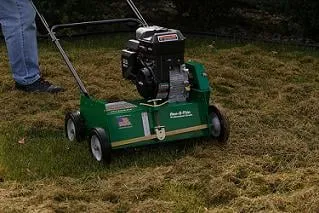 Affordable yard cleanup service in Minneapolis, MN by Lawn & Turf Corp