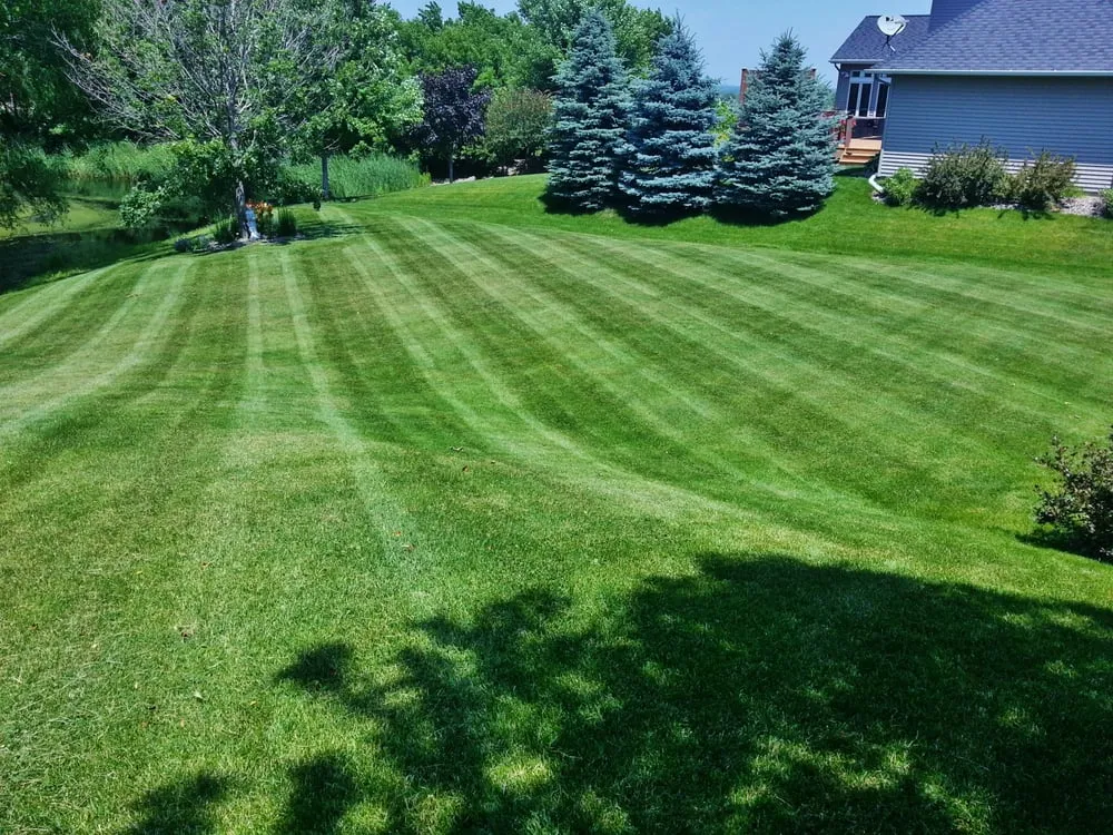 Trusted yard maintenance experts serving Minneapolis, MN - Lawn & Turf Corp