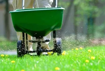 Trusted yard cleanup service in Minneapolis, MN - Lawn & Turf Corp