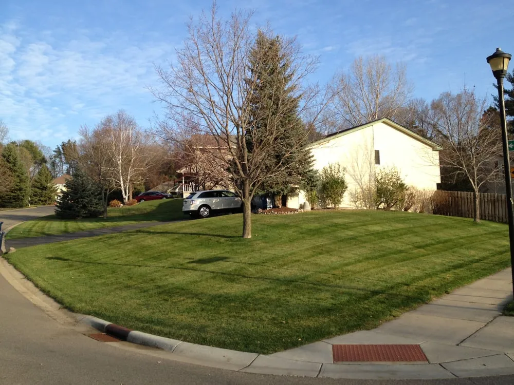 Reliable yard cleanup service with custom design in Minneapolis, MN by Lawn & Turf Corp