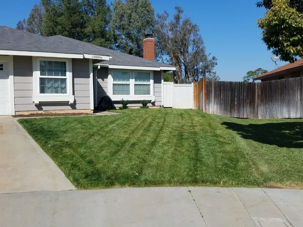 Top-rated yard maintenance with custom design across Riverside, CA - Lawn & Yard Care By Kyle