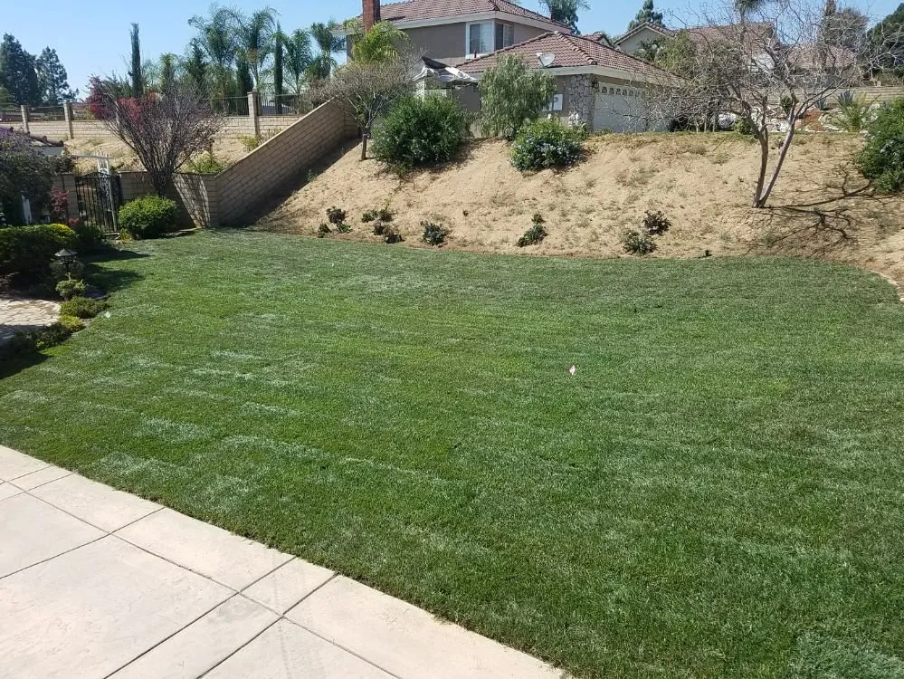 Reliable lawn mowing service in Riverside, CA by Lawn & Yard Care By Kyle