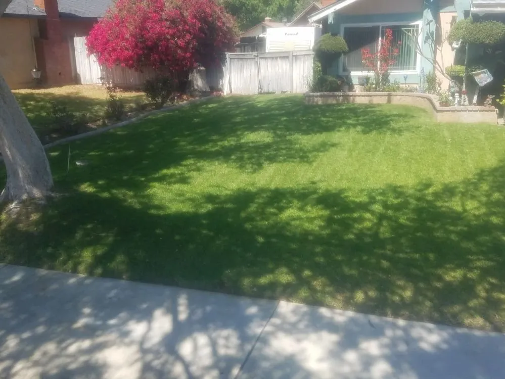 Trusted landscape installation for outdoor upgrades across Riverside, CA - Lawn & Yard Care By Kyle