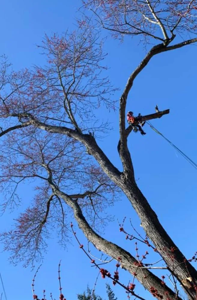 Local landscape design in Aliquippa, PA by Lawn 2 Lanai