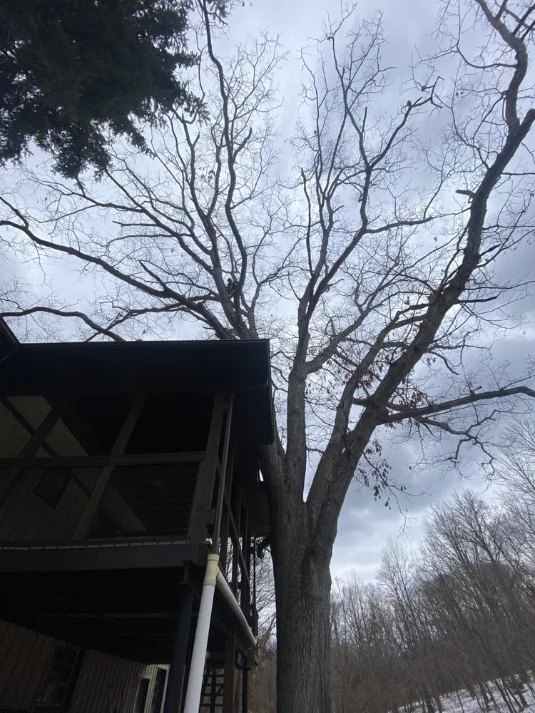 Custom yard maintenance near you across Aliquippa, PA - Lawn 2 Lanai