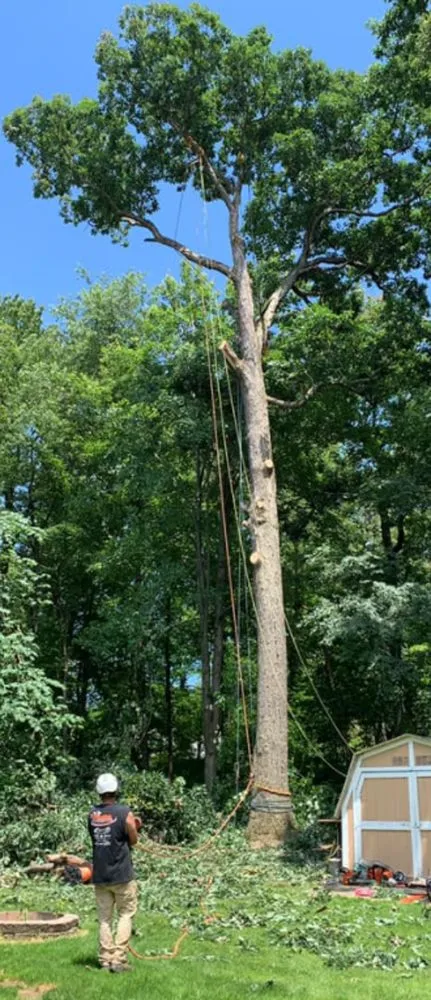 Professional landscape installation for homes across Aliquippa, PA - Lawn 2 Lanai