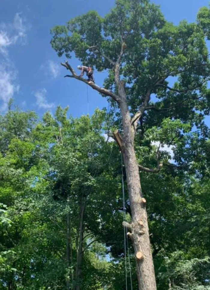 Reliable landscaping services for residential properties in Aliquippa, PA by Lawn 2 Lanai