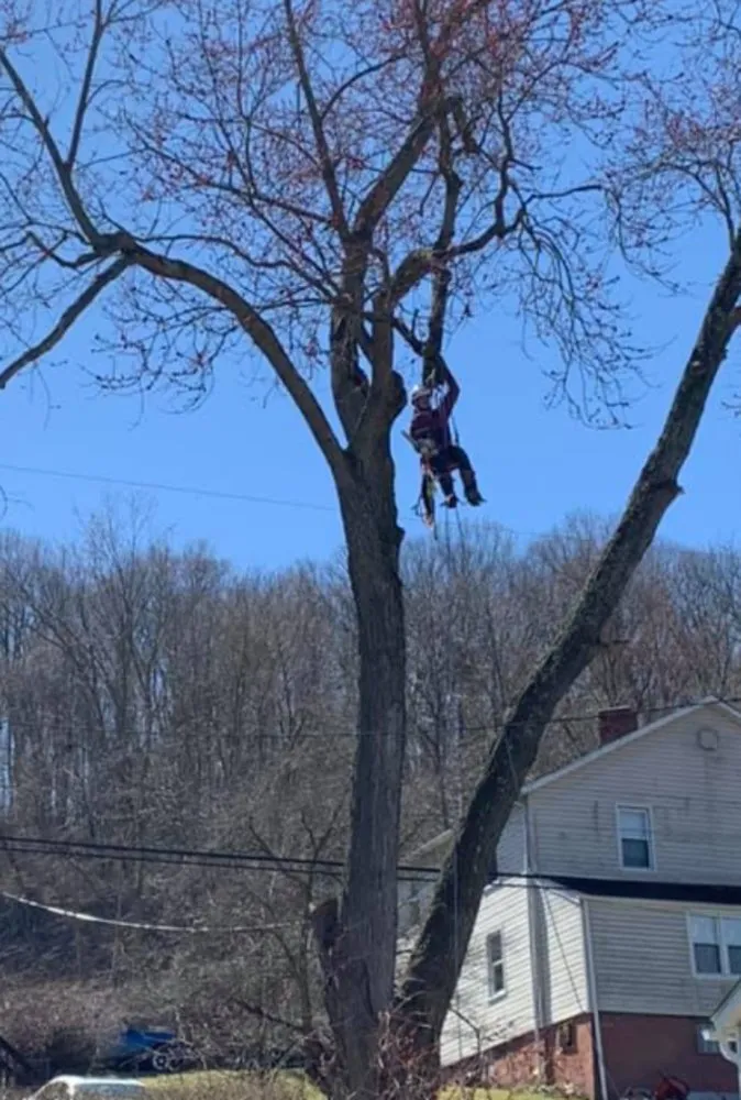 Local residential landscaping in Aliquippa, PA - Lawn 2 Lanai