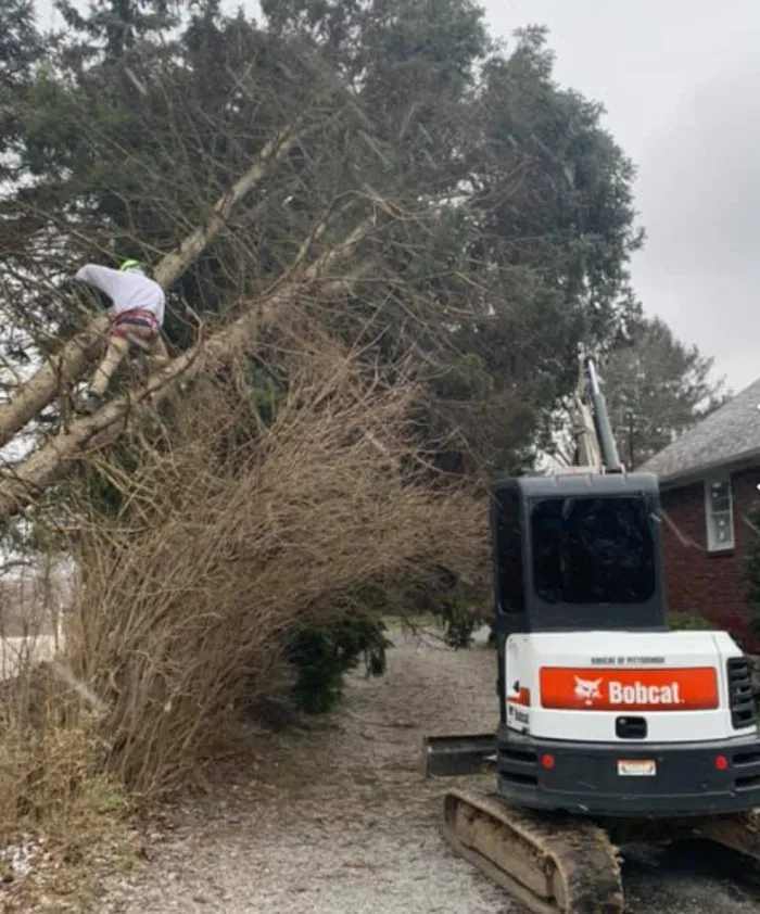 Expert lawn care service in Aliquippa, PA by Lawn 2 Lanai