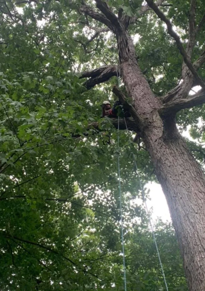 Local garden landscaping experts serving Aliquippa, PA - Lawn 2 Lanai