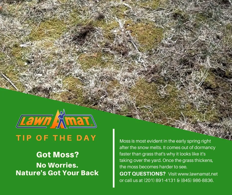 Professional residential landscaping experts serving Milford, PA - Lawn-A-Mat Corporate Headquarters