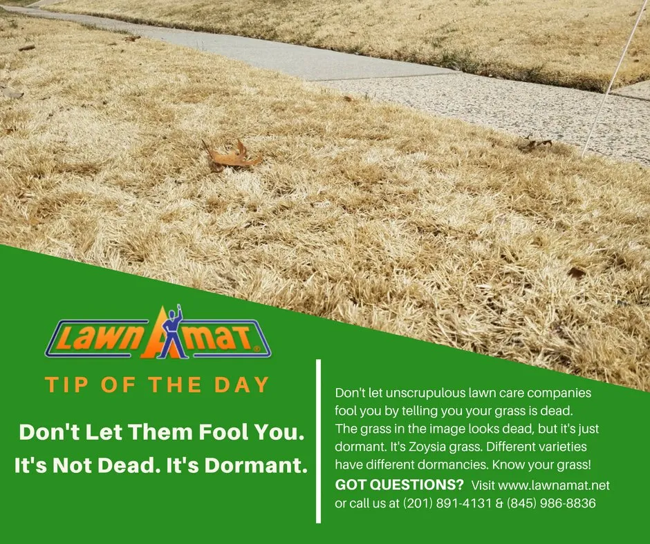 Professional landscaping services experts serving Milford, PA - Lawn-A-Mat Corporate Headquarters