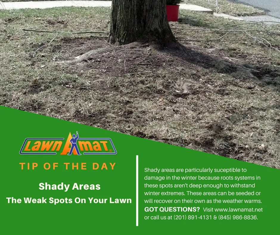 Expert lawn care service for outdoor upgrades in Milford, PA by Lawn-A-Mat Corporate Headquarters