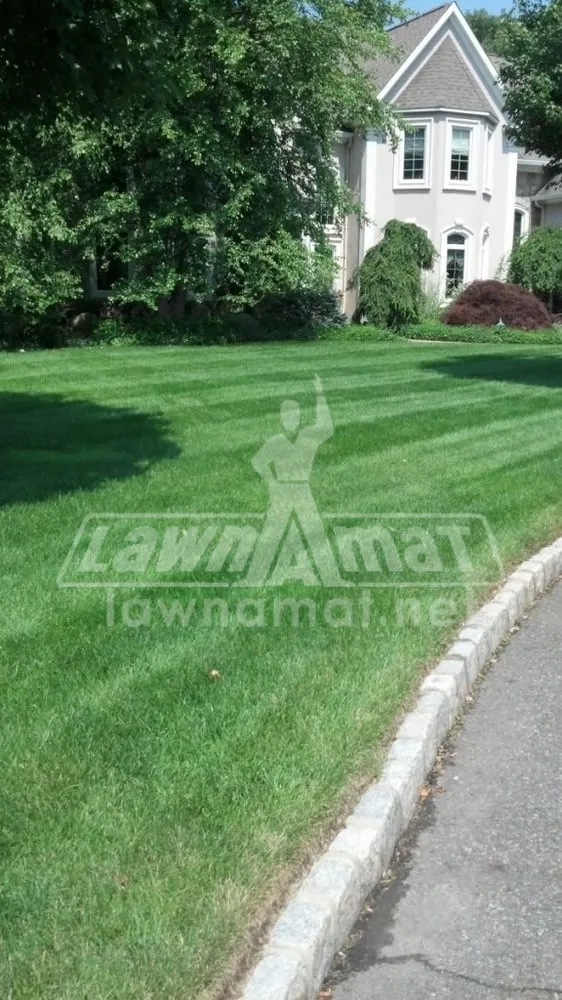 Affordable yard maintenance in Hillsdale, NJ by Lawn-A-Mat of Franklin Lakes