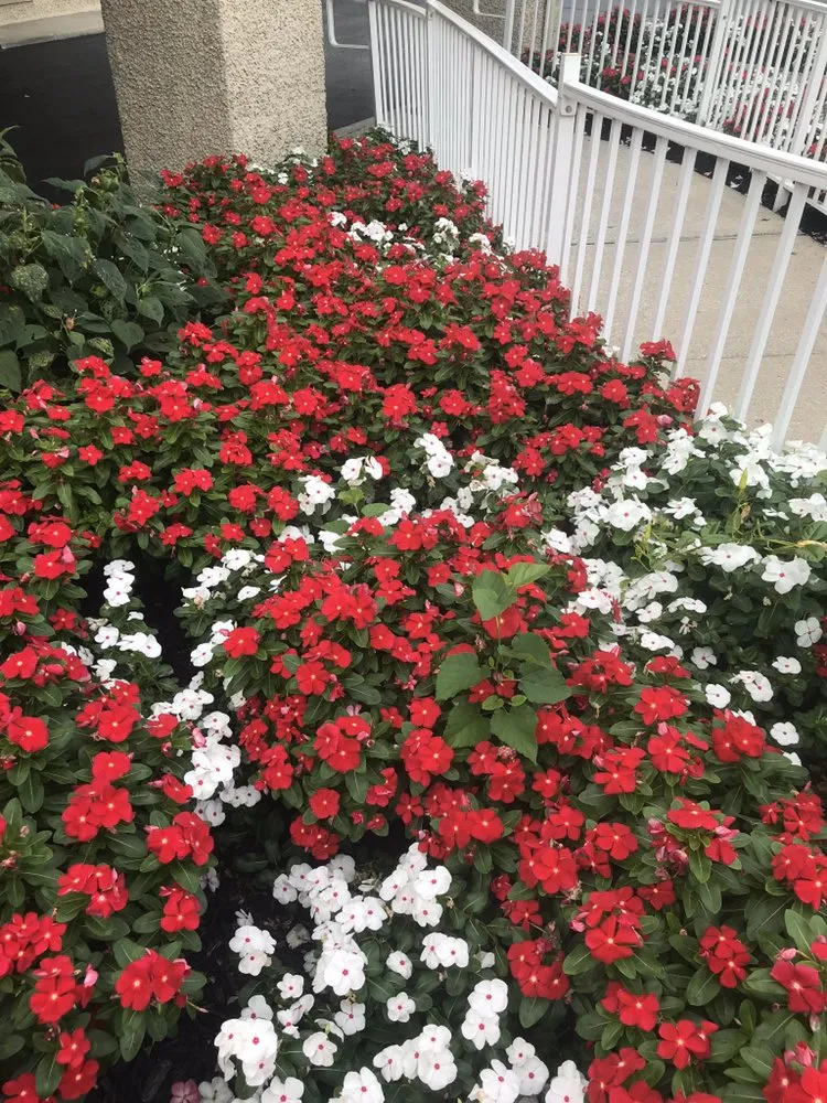 Top-rated residential landscaping experts serving Edgewood, MD - Lawn-A-Ranger Inc.