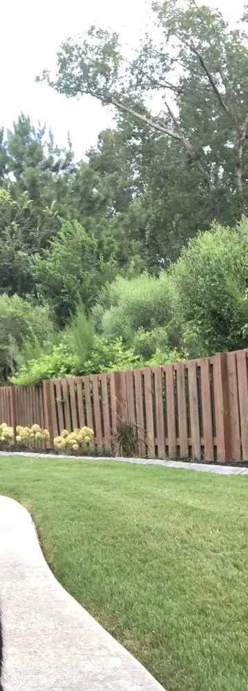 Custom yard cleanup service in Augusta, GA by Lawn Ace