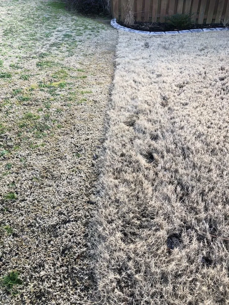 Local landscape installation for homes across Augusta, GA - Lawn Ace