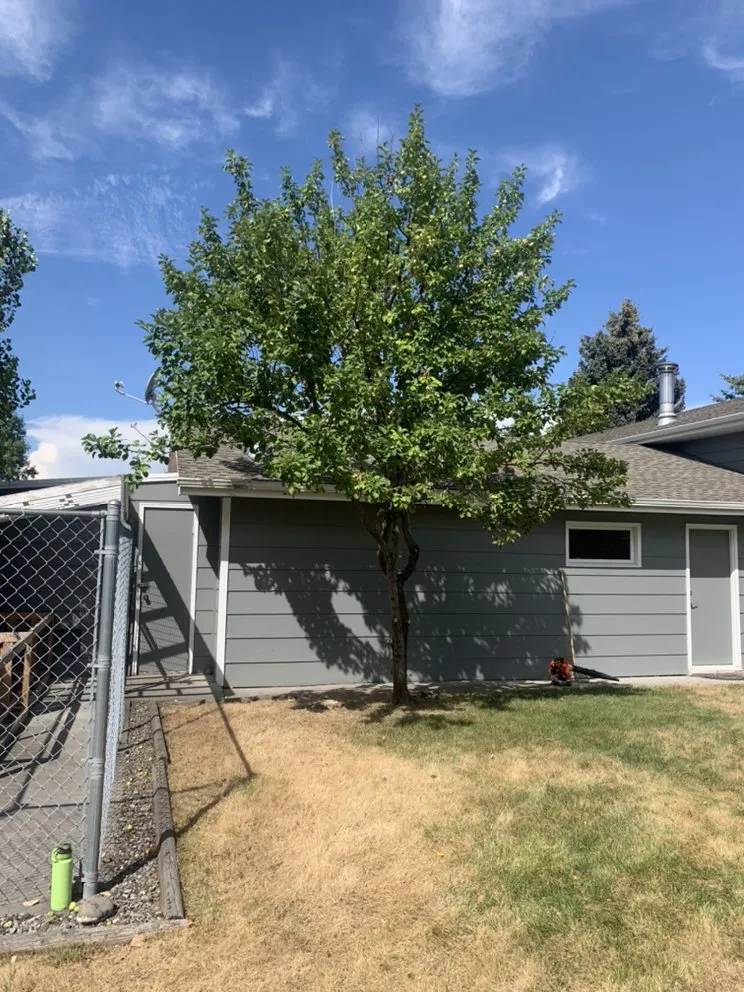 Expert landscaping services experts serving Bozeman, MT - Lawn Adventures