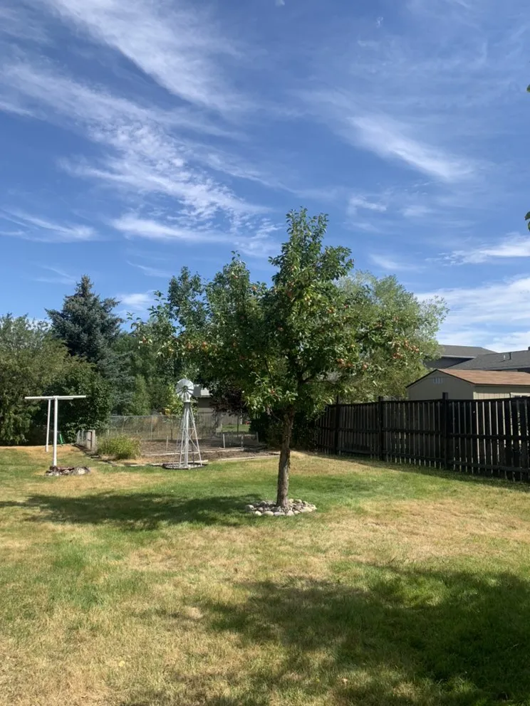 Top-rated landscaping services experts serving Bozeman, MT - Lawn Adventures