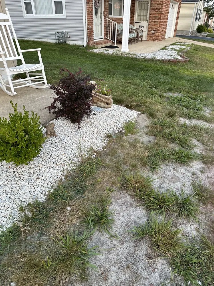 Custom lawn care service near you across Toms River, NJ - Lawn Advisory Service