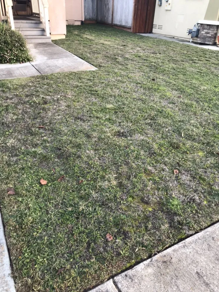 Affordable landscaping services in Oakdale, CA - Lawn Aeration