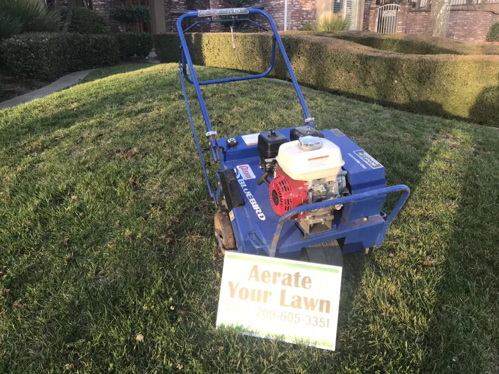 Expert yard maintenance for year-round maintenance in Oakdale, CA by Lawn Aeration