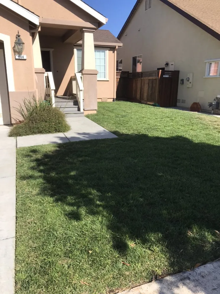 Reliable residential landscaping experts serving Oakdale, CA - Lawn Aeration