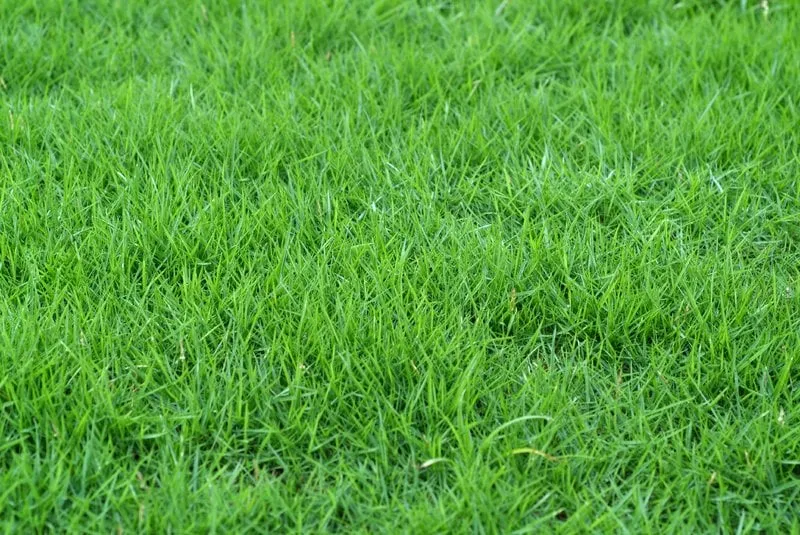 Custom garden landscaping with custom design in Westborough, MA by Lawn Aeration Plus