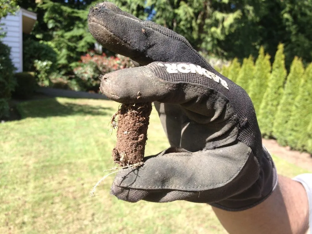 Affordable garden landscaping in Lake Stevens, WA by Lawn Aerations Plus