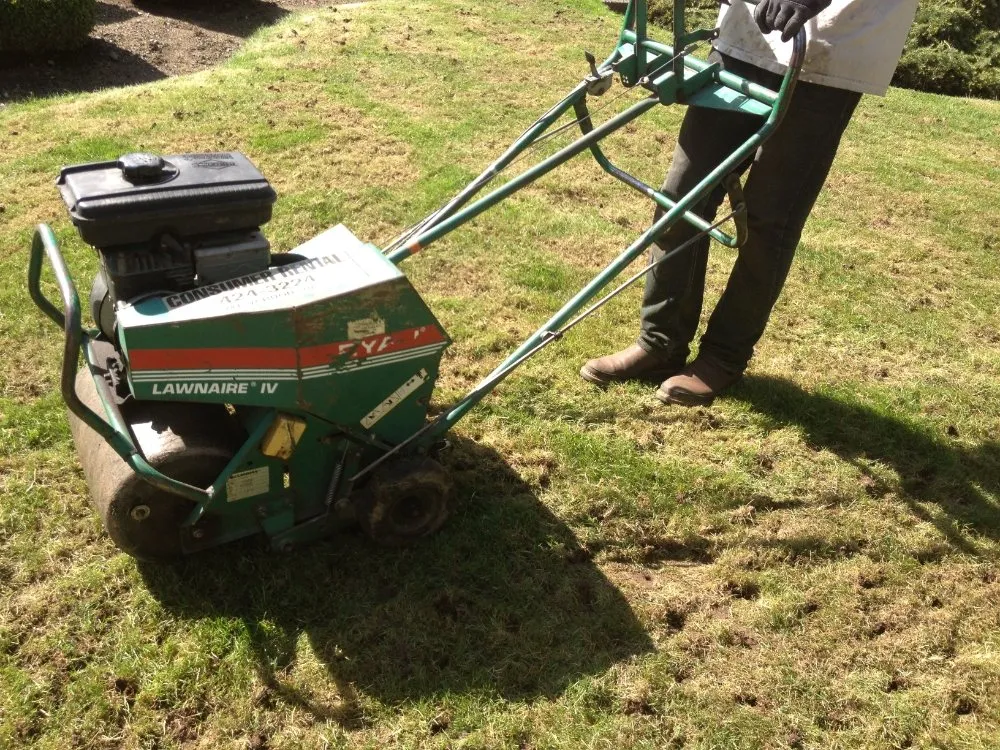 Trusted outdoor landscaping in Lake Stevens, WA - Lawn Aerations Plus