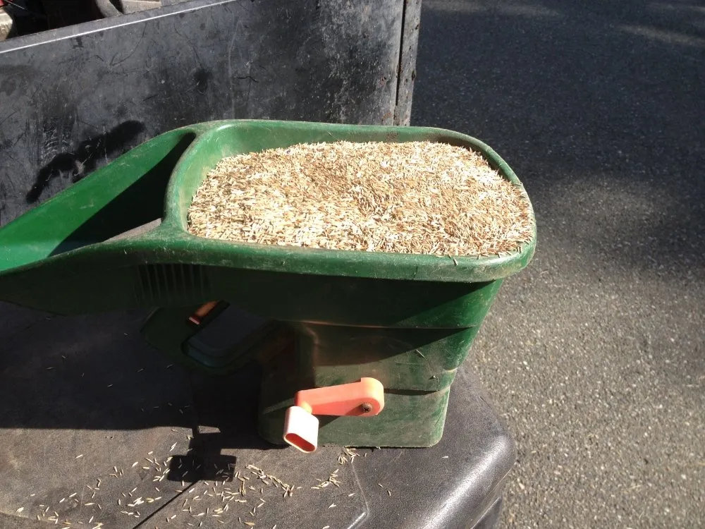 Professional residential landscaping for outdoor upgrades in Lake Stevens, WA by Lawn Aerations Plus