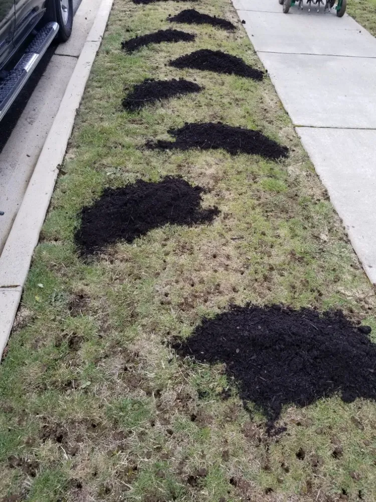 Top-rated landscaping services in Lake Stevens, WA - Lawn Aerations Plus