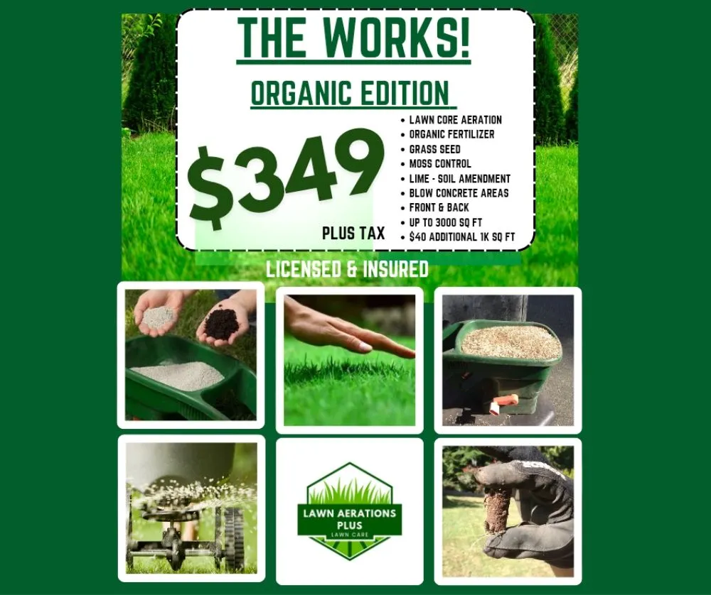 Affordable residential landscaping in Lake Stevens, WA - Lawn Aerations Plus