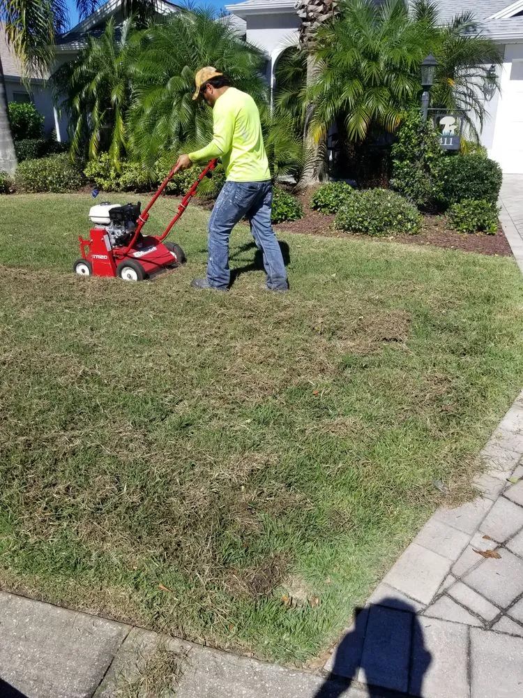 Top-rated lawn care service in Clermont, FL by Lawn Aerations Pro
