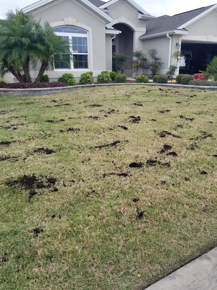 Custom residential landscaping in Clermont, FL - Lawn Aerations Pro