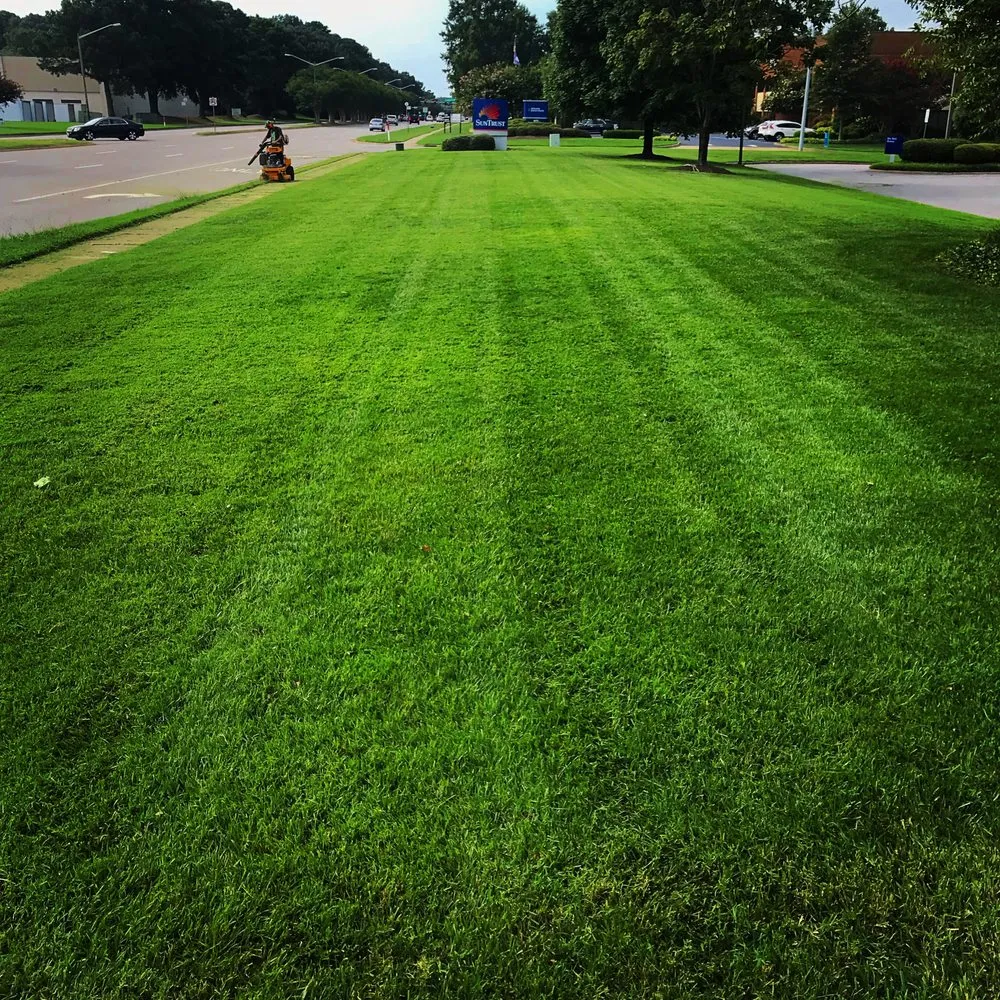 Expert yard cleanup service in Virginia Beach, VA - Lawn-Aid