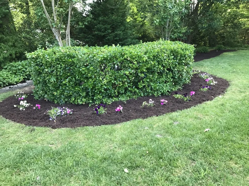 Custom yard maintenance near you in Virginia Beach, VA by Lawn-Aid