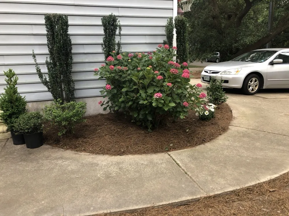 Trusted lawn care service for year-round maintenance in Virginia Beach, VA by Lawn-Aid