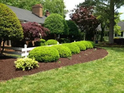 Top-rated yard cleanup service for homes across Virginia Beach, VA - Lawn-Aid