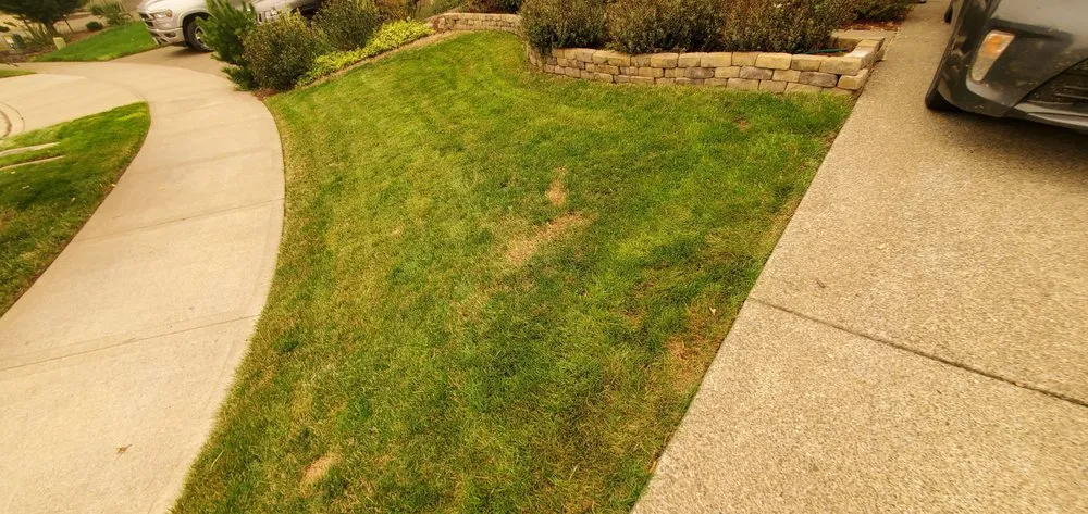 Top-rated outdoor landscaping for outdoor upgrades in Damascus, OR by Lawn Air8tors