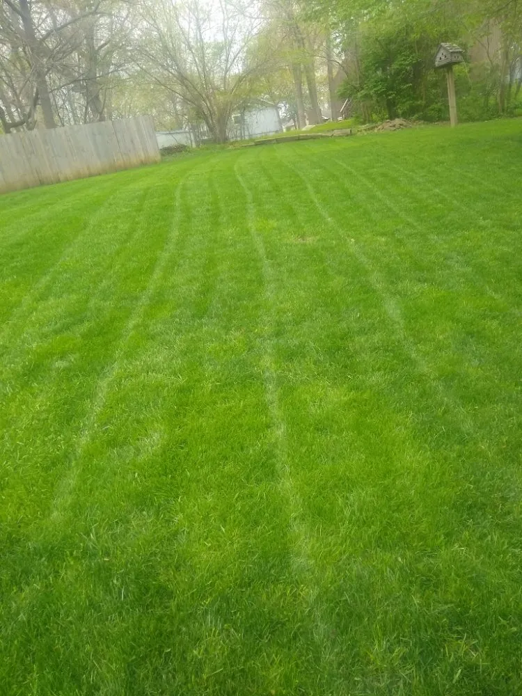 Custom yard maintenance in Waverly, MO by Lawn Allies