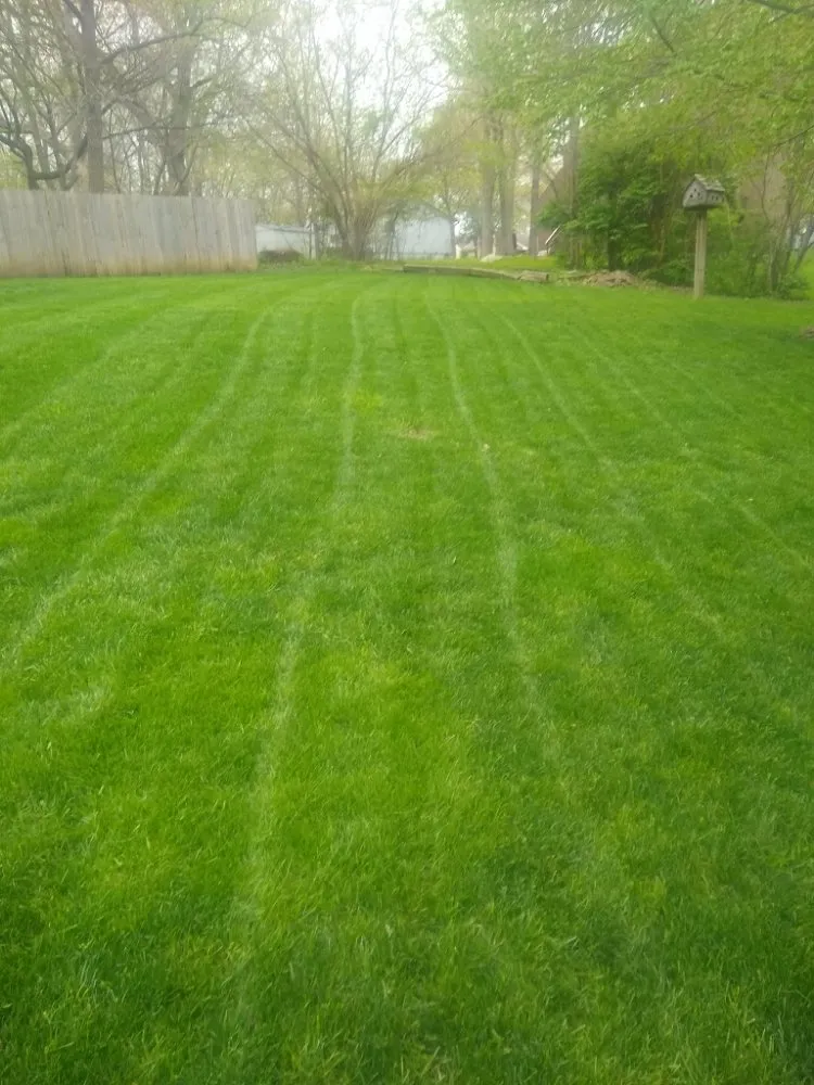 Affordable landscaping services in Waverly, MO - Lawn Allies