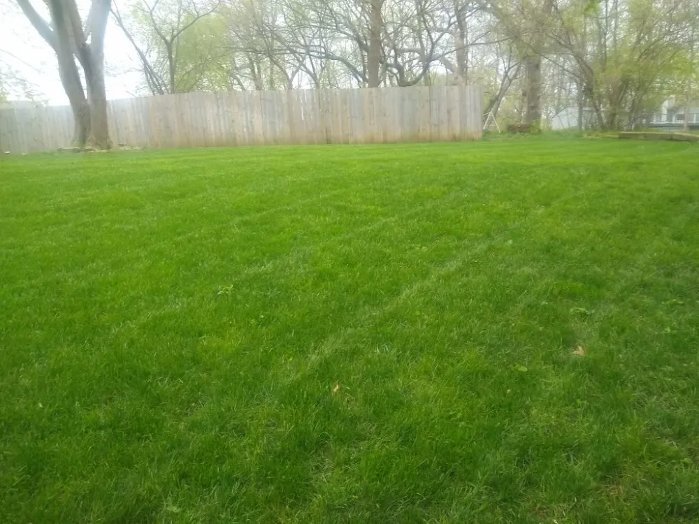 Reliable lawn mowing service in Waverly, MO by Lawn Allies
