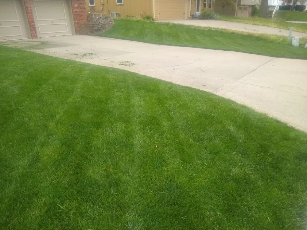 Top-rated yard maintenance in Waverly, MO by Lawn Allies